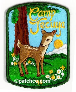 Girl Scout patch