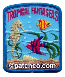 Girl Scout patch