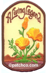 Girl Scout patch